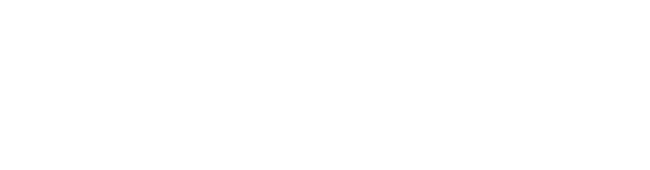 頭脳循環を加速する若手研究者戦略的海外派遣プログラム｜海洋工学における強非線形流体・構造連成に関する国際共同研究と若手研究者の育成